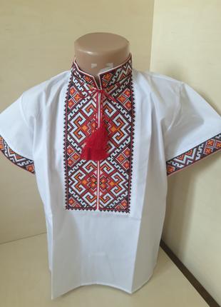 Рубашка Вишинка для хлопчиків з коротким рукавом червона р.134...