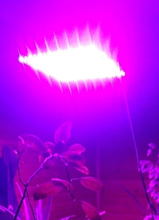 LED Фитолампа для Растения Гроубокс Рассады Цветов Микрозель Фито