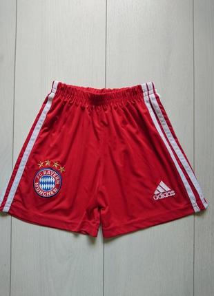 Футбольные шорты adidas fc bayern