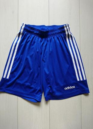 Спортивные шорты adidas