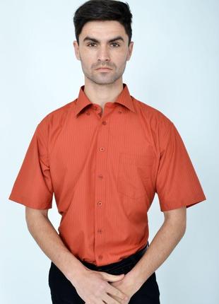 Рубашки, цвет кирпичный, размер 39, 818-65