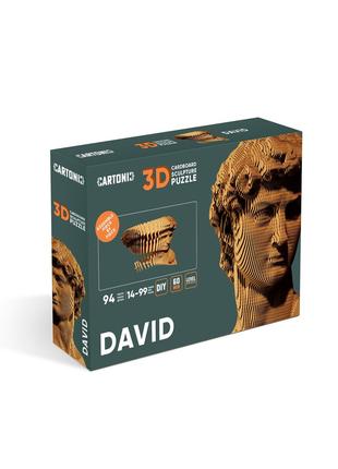 3D Пазл Картонный Cartonic Давид 94 детали