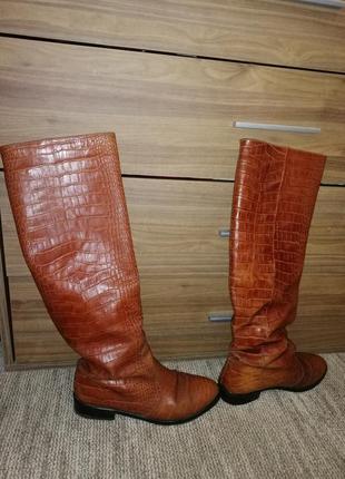 Женские кожаные сапоги сапожки размер 36 (23,5см) евро зима же...