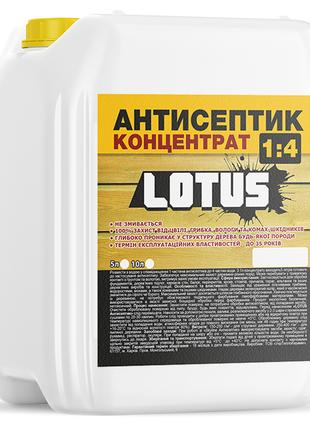 Антисептик для захисту деревини концентрат 1:4 LOTUS 10л