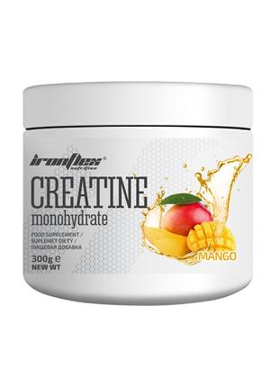 Креатин моногідрат IronFlex Nutrition Creatine Monohydrate 300...