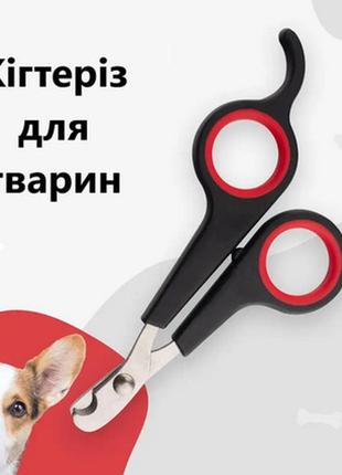 Инструмент для стрижки ногтей домашних животных: когтерез или ...