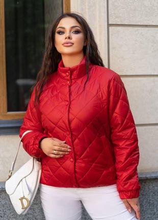 Женская теплая куртка цвет красный р.54 442200