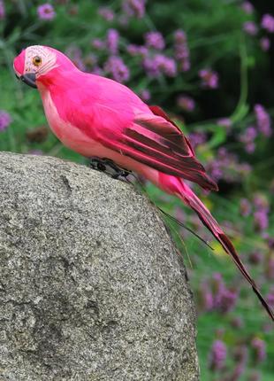 Реалістичний папуга Декор рожевий ABC