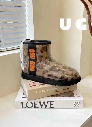 Ugg classic clear mini leo