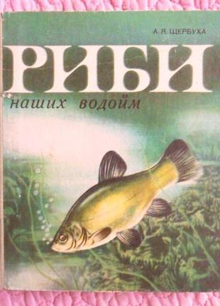 Рыбы наших водоемов. автор: а.я.щербуха