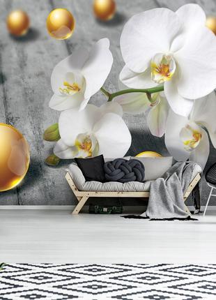 Красивые фотообои на кухню 3д цветы 254x184 см Белые орхидеи и...