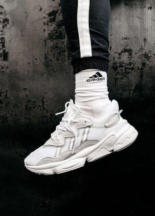 Мужские кроссовки adidas ozweego beige