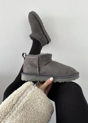 Зимние женские ботинки ugg premium ultra mini grey suede premi...