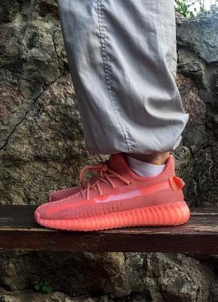 Женские кроссовки adidas yeezy boost 350 v2 coral (рефлективні...