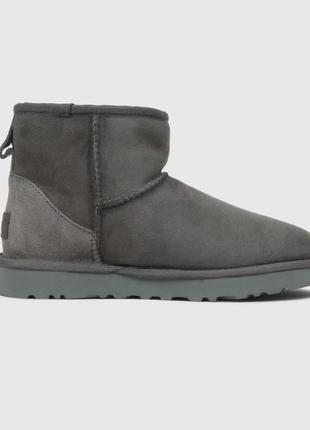 Зимние женские ботинки ugg mini grey