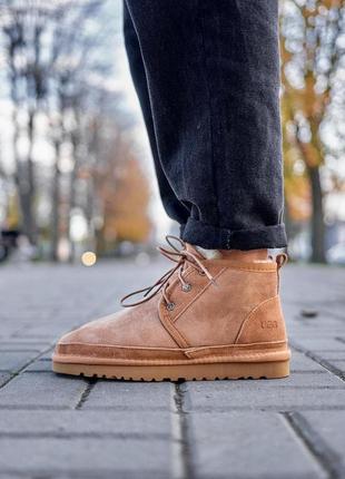 Зимние мужские ботинки ugg neumel chestnu