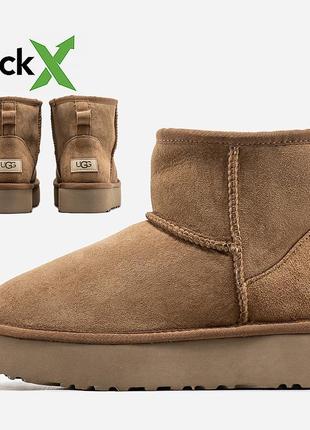 Зимние женские ботинки ugg mini platform 37 39