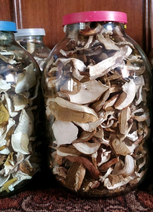 Сушені білі гриби з Карпатського лісу