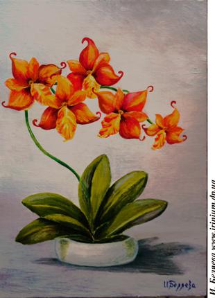 Картина "Орхидеи" (цветы) 30х42 см, масло, холст