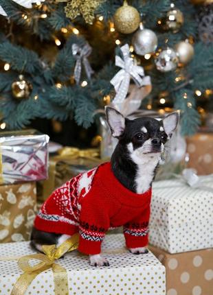 Новогодний вязаный свитер для собак