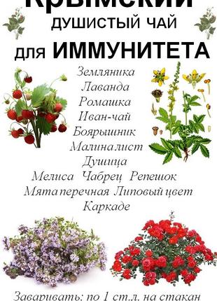 Крымский душистый чай для иммунитета, 100 грамм Код/Артикул 111