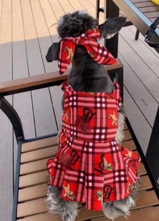 Брендовое платье для собак на брительках, расцветка в клетку к...