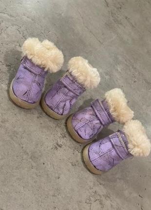 Зимние ботинки для собак multibrand замшевые с плотной подошво...