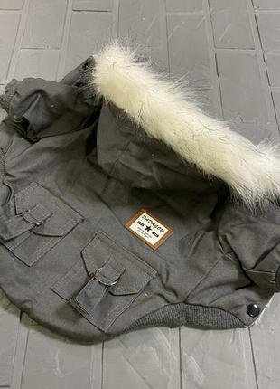 Джинсовая зимняя парка-куртка для собак с карманами на спинке ...