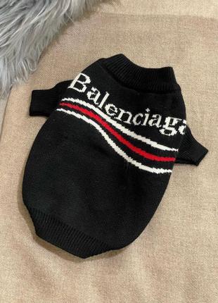 Брендовый свитер для собак balenciaga волна бело-красная, черный