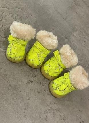 Зимние ботинки для собак multibrand замшевые с плотной подошво...