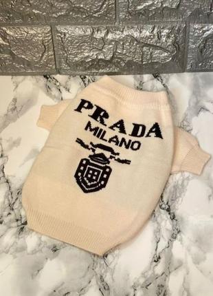 Брендовый свитер для собак prada с логотипом на спине белого ц...