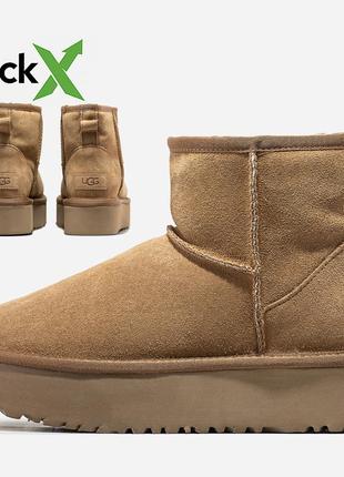 Зимние женские ботинки ugg classic mini platform