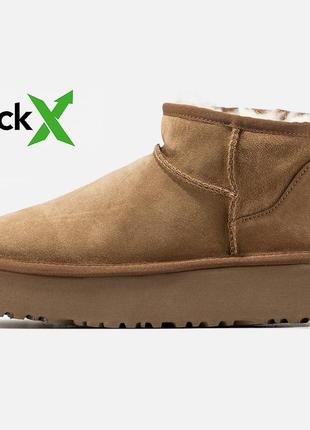 Зимние женские ботинки ugg ultra mini platform