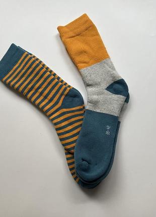 Набір термо шкарпеток