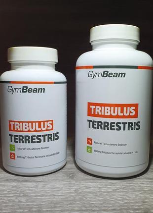Tribulus Terrestris – GymBeam. Трибулус 120 та 240 табл.