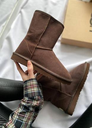 Угги ugg classic tall i&lt;unk&gt; boot brown