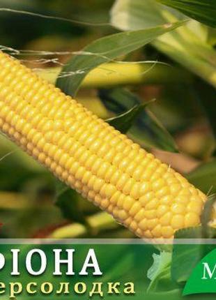 Сахарная кукуруза Фиона F1, 200 семян на 30 м², раннеспелый (6...