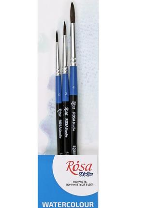 Набір пензликів з білки 3 штуки, Rosa Studio №14 (№0,2,4)