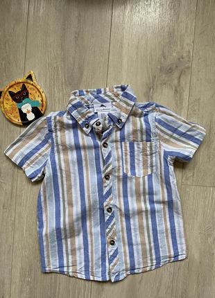 Tommy bahama рубашка в полоску полосатая котоновая 5 лет