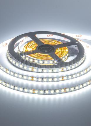 Світлодіодна стрічка біла холодна 24V AVT smd2835 120 LED/м IP20