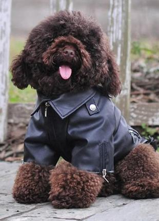 Виниловая кофта куртка на собаку размера м