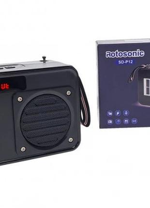 Портативний радіоприймач, колонка Rotosonic SD P12 BT, FM, Bbl...