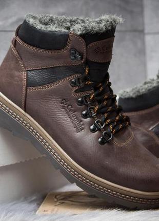 Зимние кожаные ботинки на меху chinook brown boots