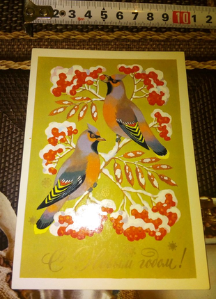 Новогодняя открытка птицы ретро недорого
