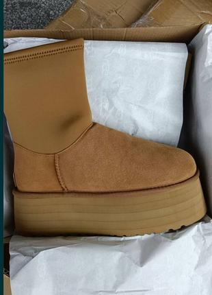 UGG Classic Dipper Platform угги є в наявності