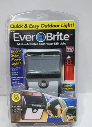 Светильник LED Light Everobrite