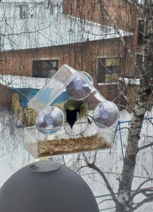 Качественная прозрачная оконная кормушка для птиц на стекло на...