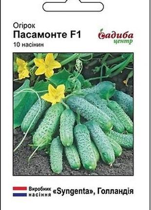 Семена огурцов Пасамонте F1 10 шт, Syngenta Супер шоп
