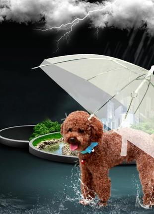Зонтик для собаки RESTEQ. Зонтик с цепью для собак. Собачий зо...