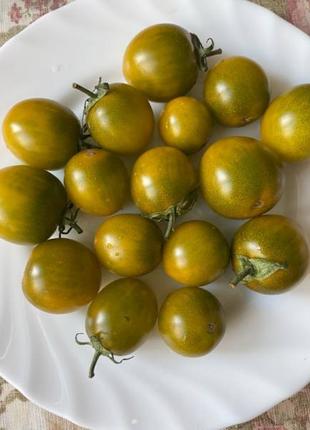 Колекционный томат зеленый виноград Грин Грейп